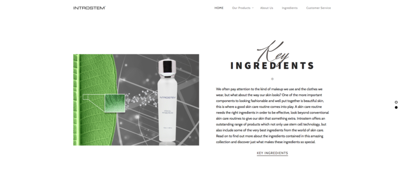 introstem website